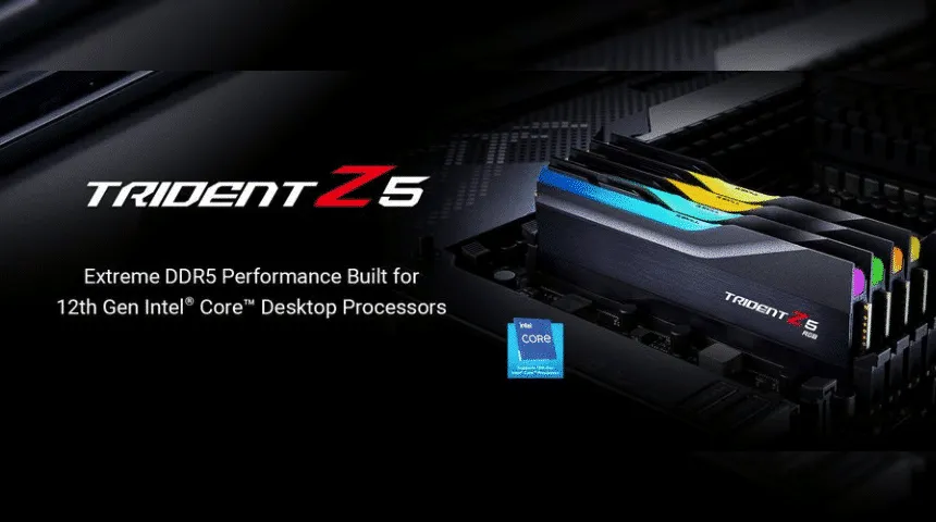 z5 trident banner